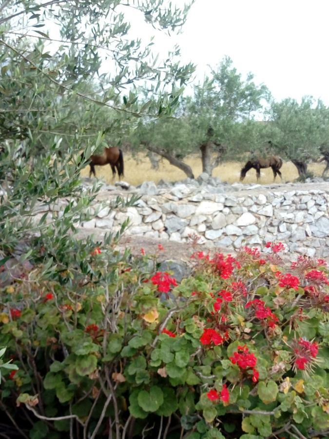 Charouda Stone Tower Pyrgos Dirou Exterior foto