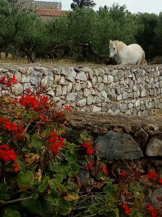 Charouda Stone Tower Pyrgos Dirou Exterior foto